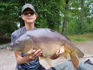 Mirror Carp