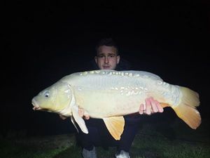 Common Carp
