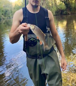 Chub