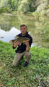 Tench