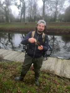 European Perch