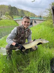 Northern Pike