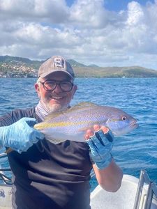 Pacific Cubera Snapper