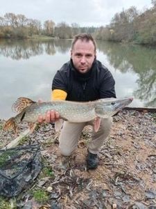 Northern Pike