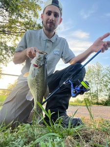Smallmouth Bass