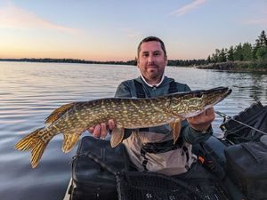 Northern Pike