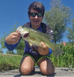 Largemouth Bass