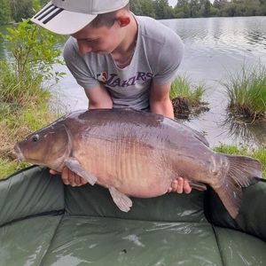Common Carp caught by Theo Cnockaert