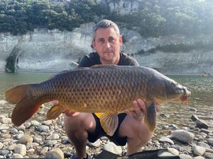 Common Carp