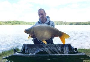 Mirror Carp