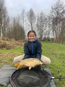 Mirror Carp