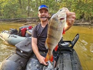 European Perch