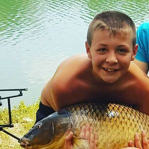 Common Carp