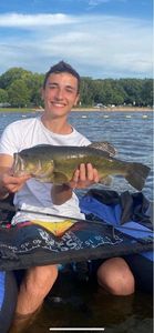 Largemouth Bass