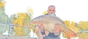 Common Carp