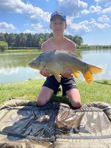 Mirror Carp