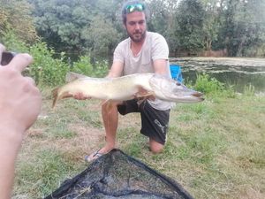 Northern Pike