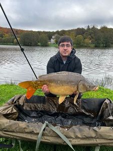 Mirror Carp