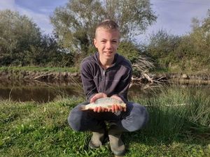 Mirror Carp