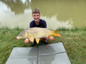 Common Carp