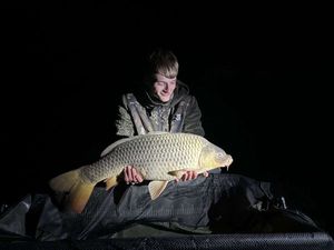 Common Carp