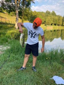 Largemouth Bass