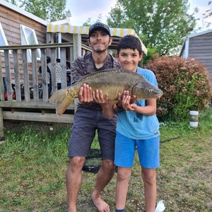 Leather Carp