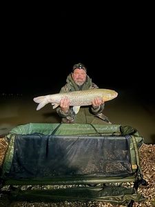 Grass Carp