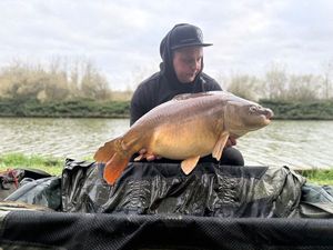 Mirror Carp