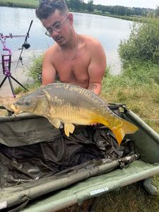 Mirror Carp
