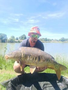 Mirror Carp