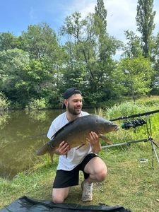 Mirror Carp