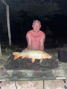 Common Carp