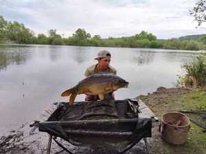 Mirror Carp