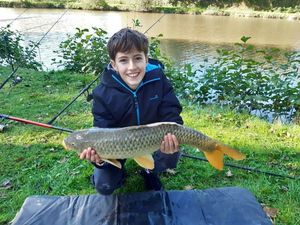 Common Carp