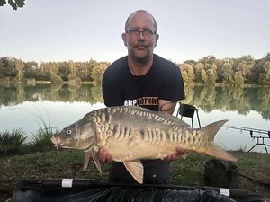 Mirror Carp
