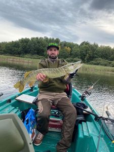 Northern Pike