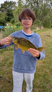 Mirror Carp