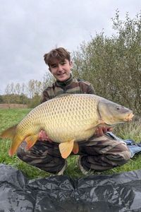 Common Carp