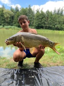 Mirror Carp