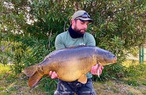 Mirror Carp