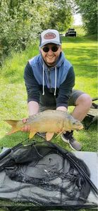 Mirror Carp