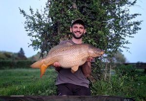 Common Carp