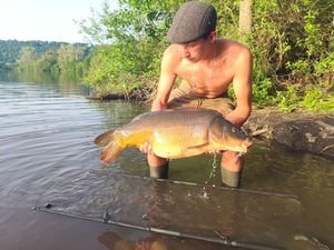 Mirror Carp