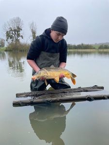 Mirror Carp