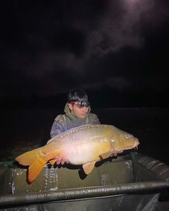 Mirror Carp