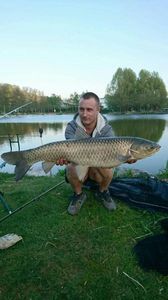 Grass Carp