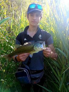 Largemouth Bass