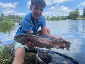 Rainbow Trout