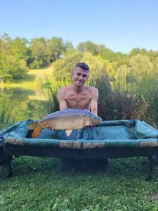 Mirror Carp
